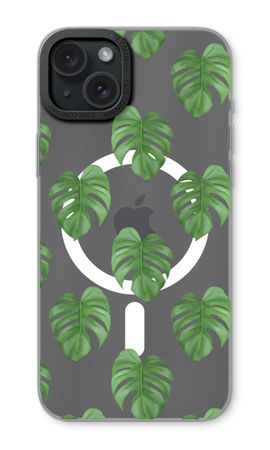 Monstera leaves