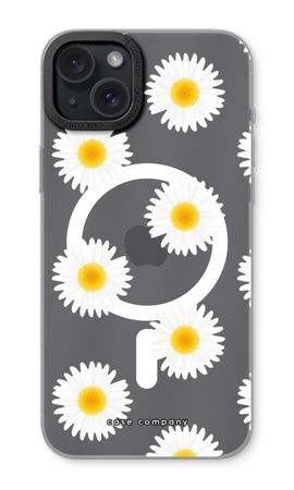 Daisies