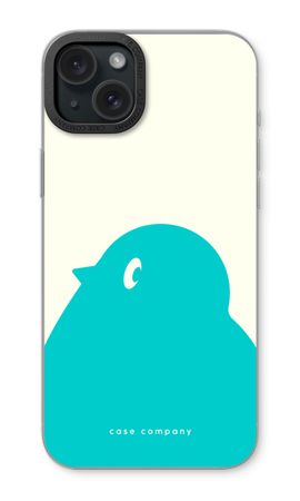 BIG Robin 1