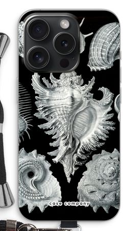 Haeckel Prosobranchia