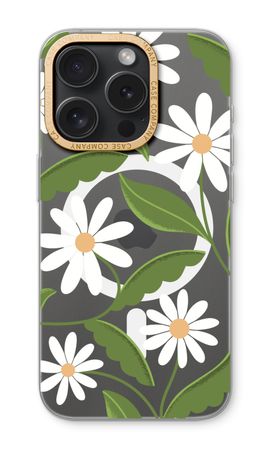 Daisies All Over
