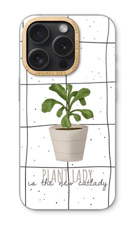 Houseplant on windowpane