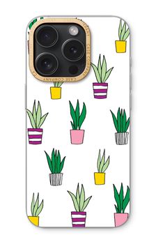 Sanseveria