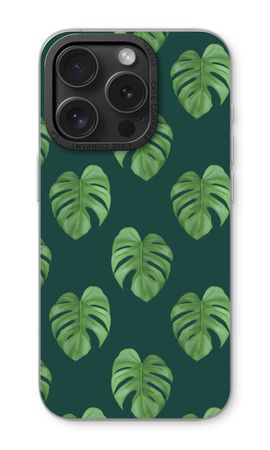 Monstera leaves
