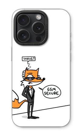GSM secure