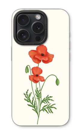 Red poppy