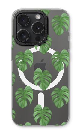 Monstera leaves