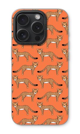 Cheetah