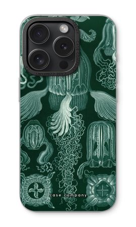 Haeckel Cubomedusae