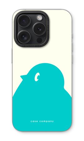 BIG Robin 1