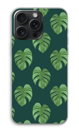 Monstera leaves