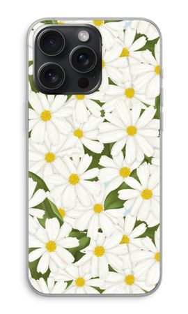 Summer Daisies