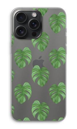 Monstera leaves