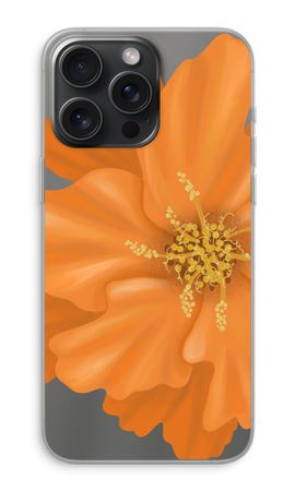 Orange Ellila flower