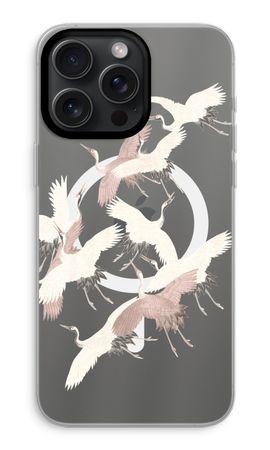 Japanese Crane Birds