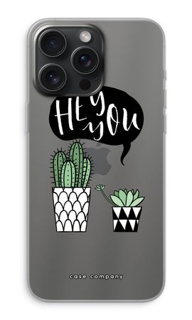Hey you cactus