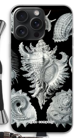 Haeckel Prosobranchia