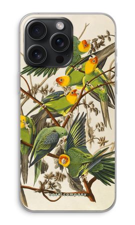Carolina Parrot