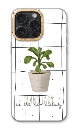 Houseplant on windowpane