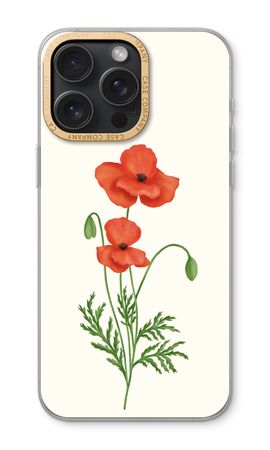 Red poppy