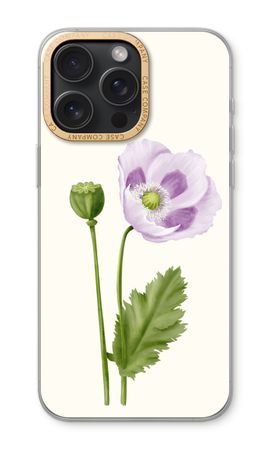 Purple poppy