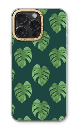Monstera leaves