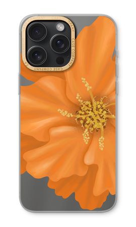 Orange Ellila flower