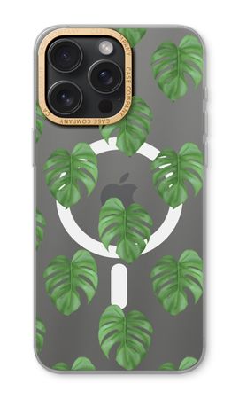 Monstera leaves