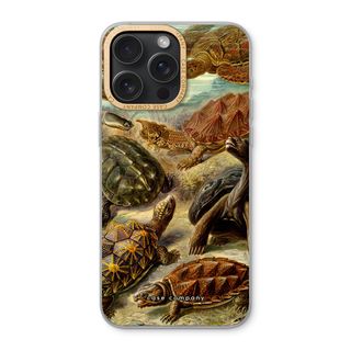 Haeckel Chelonia