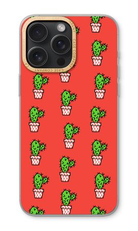 Mini cactus