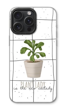 Houseplant on windowpane