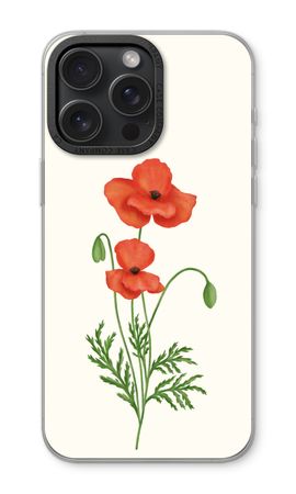 Red poppy