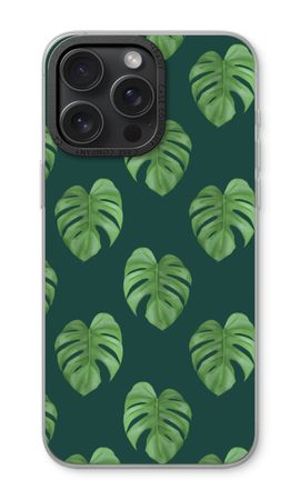 Monstera leaves