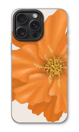 Orange Ellila flower