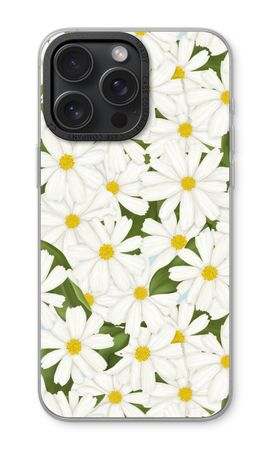 Summer Daisies