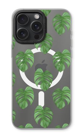 Monstera leaves