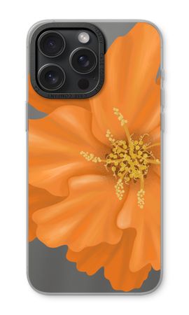 Orange Ellila flower