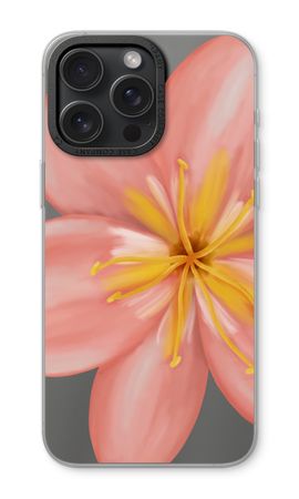 Pink Ellila Flower