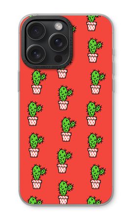 Mini cactus