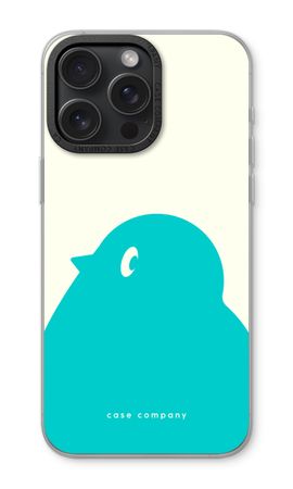 BIG Robin 1