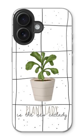 Houseplant on windowpane