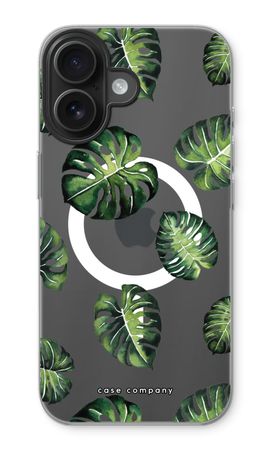 Tropical leaves