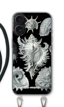 Haeckel Prosobranchia