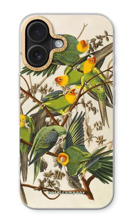 Carolina Parrot