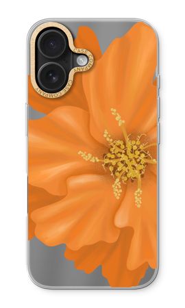 Orange Ellila flower