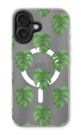 Monstera leaves