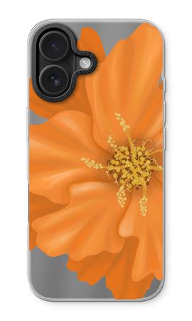 Orange Ellila flower