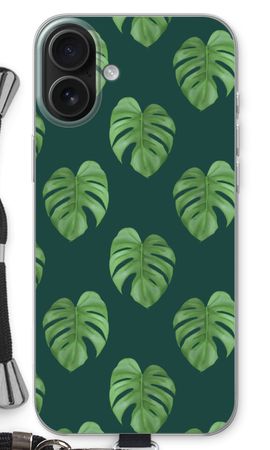 Monstera leaves