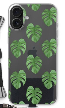 Monstera leaves