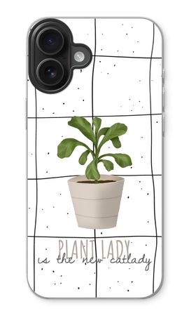 Houseplant on windowpane